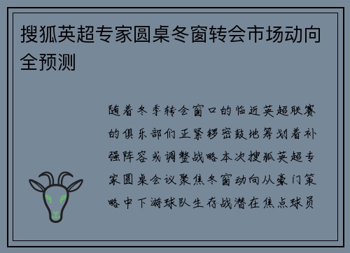 搜狐英超专家圆桌冬窗转会市场动向全预测