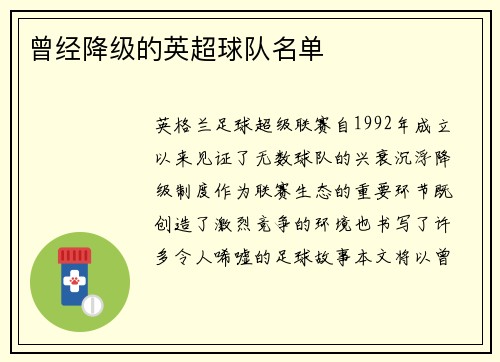 曾经降级的英超球队名单